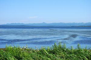 Озеро Буссе гастрономическая экскурсия