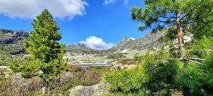 Каменный город