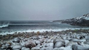 Выход в Баренцево море на поиски китов
