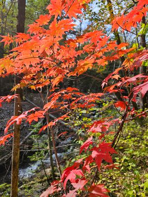 Тропа к водопадам