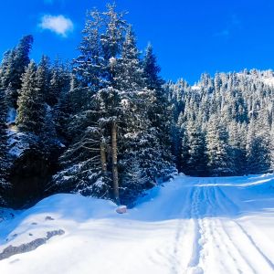 Северная сказка Иссык Куля