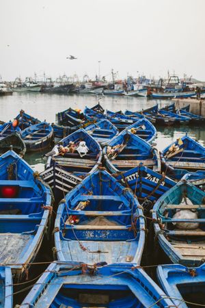 Марракеш - Эссауеира