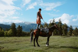 Встреча гостей, знакомство с лошадьми