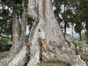Канди, ботанический сад, джип сафари со слонами