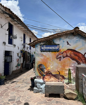 Куско: пончо, ламы и кока