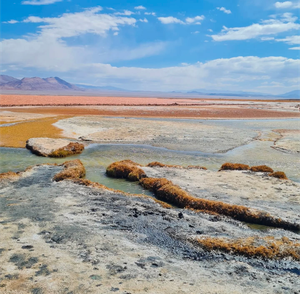 Долина Вулканов, Лагун И Солончаков
