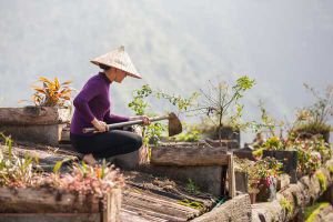 Выезд в Сапу. Деревни хмонгов