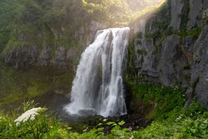 Камчатка Лайт