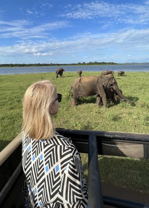 Новый год на Шри-Ланке
