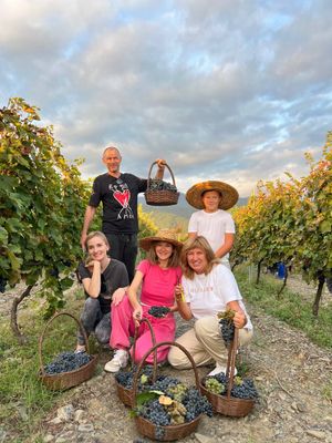 Ртвели в винной Кахетии 2026: праздник сбора урожая