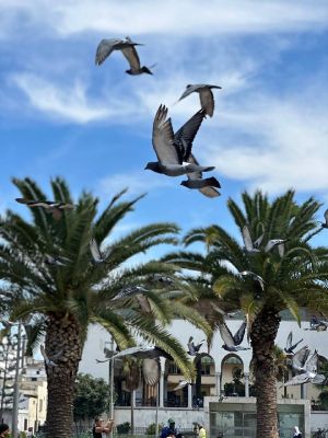 Марокко: древнее королевство с авиаперелётом из Москвы