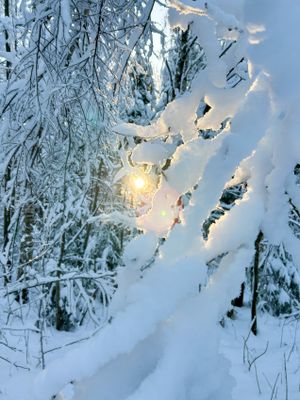 Пеший поход в Крутовский заказник с тёплой ночёвкой