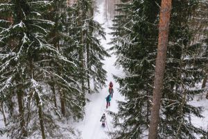 Пеший поход в Крутовский заказник с тёплой ночёвкой