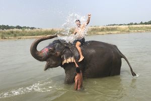 Национальный парк Читван