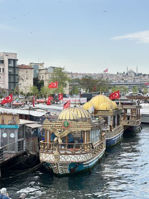 Стамбул за 4 дня - программа максимум