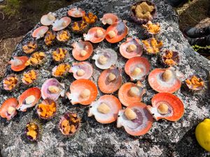 Мурманск - Териберка. Тундра и Баренцево море