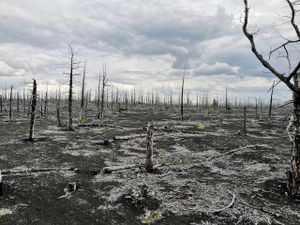 Вулкан Толбачик: 3 ночи, 4 дня