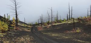 Вулкан Толбачик: 3 ночи, 4 дня