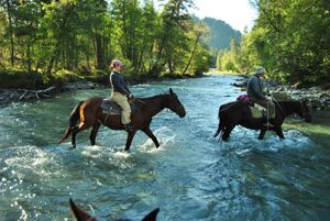 Алтайские приключения Зачемалья 2026: Патмос, сплав, водопады
