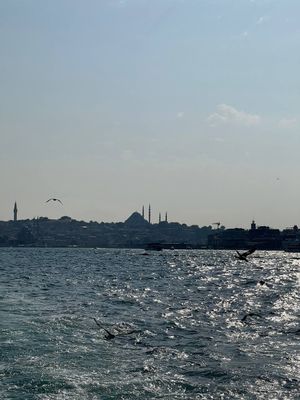 Весь Стамбул за 4 дня (яхта, дворец, гид, шоппинг)