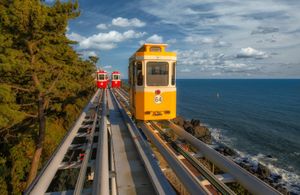 Красные клёны и императорские дворцы