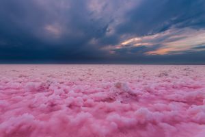 Жемчужины юга России