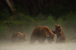 Сплав на рафтах