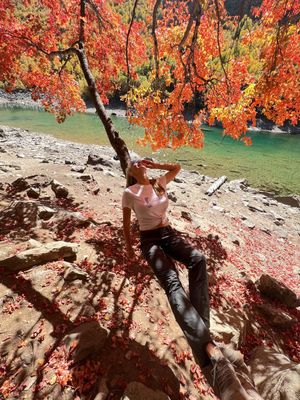 Максималка в Домбае за 6 дней с суперкомфортом