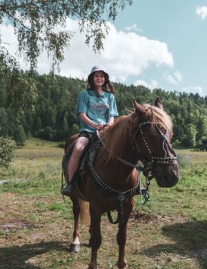 Алтай: краски, сказки