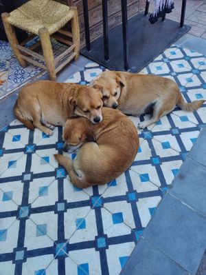 Марокко: города, пустыня и океан