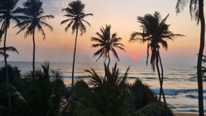 Прибытие, размещение, знакомство