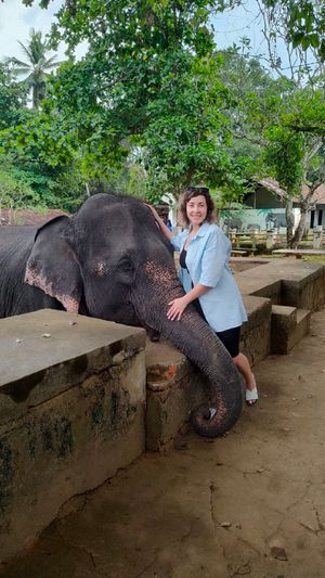 Слоны, загадочная Сигирия и древние храмы