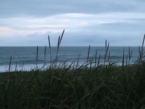 Халактырский пляж, сопка Мишенная, Три брата