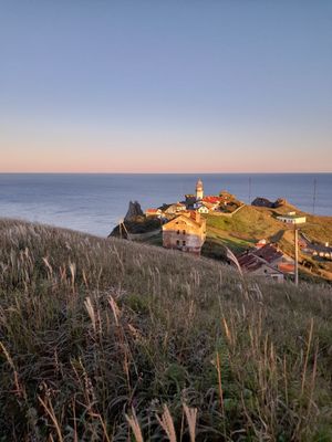 Полуостров Гамова