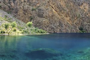 Дорога домой