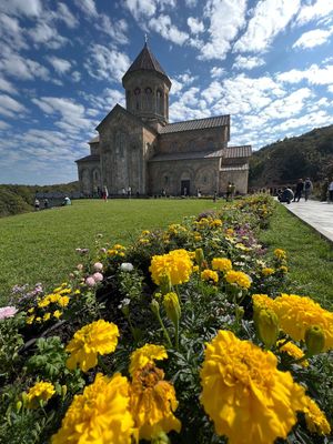 Экскурсия в солнечный край грузинского виноделия
