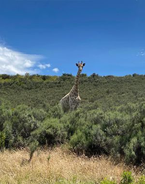 Реабилитационный центр