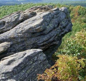 Вылет домой, Останец Лягушка или встреча с сивучам