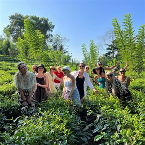 Тропическая сказка Шри-Ланки