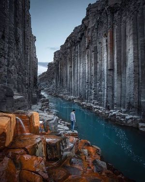 Исландия: весь остров и киты