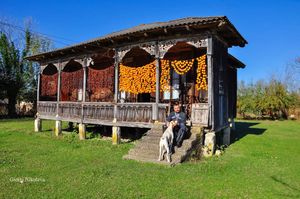 Ртвели: Праздник урожая в Грузии. Осенний тематический тур