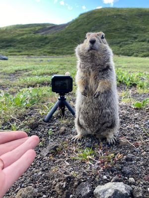 Влк. Авачинский и Баня