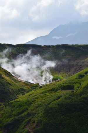 Дачные источники