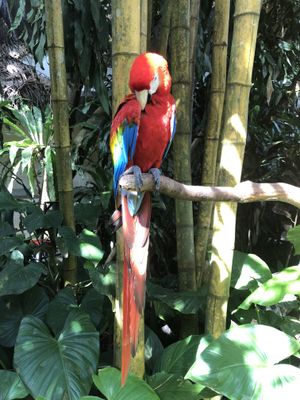 Наслаждение