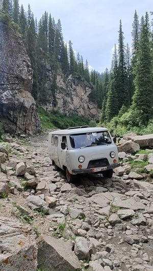 Каракол - горячие источники Алтын-Арашан - ужин в
