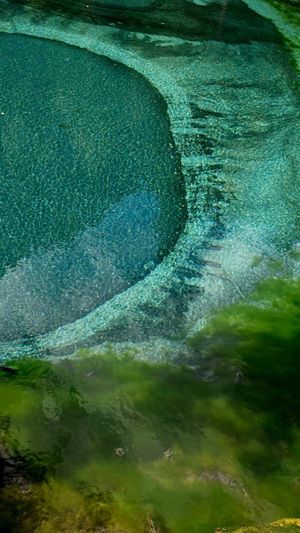 Ты любовь - алтайское путешествие со смыслом