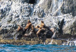 Джип-тур на Дачные источники. Экскурсия в Эйвет