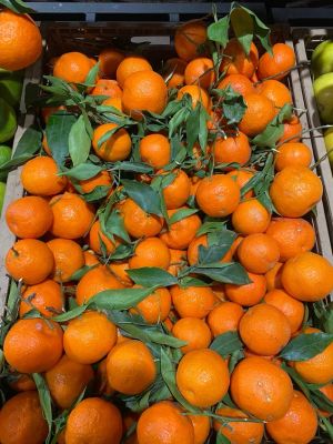 Марокканская кругосветка