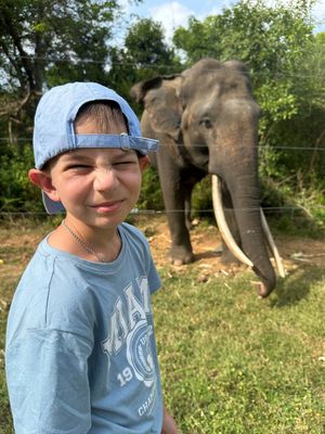 Шри-Ланка Non-Stop: поезд, пик, форт, серф, слоны и черепахи