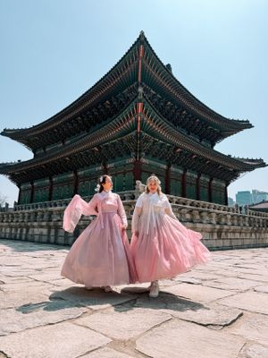 Цветение сакуры в Корее: Сеул и Пусан